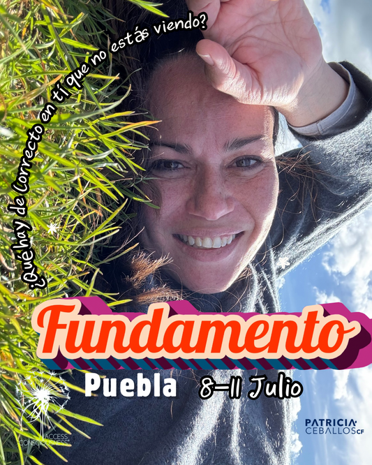 Fundamento Puebla 8-11 Julio